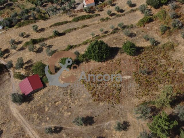 Solar venda em Guarda, São Julião