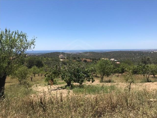 Commercial Land venda em Loulé, Palmeiral