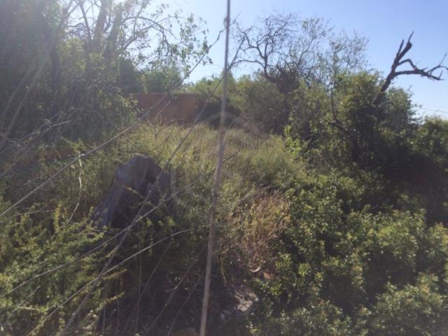 Commercial Land venda em Loulé, Lagoa de Momprolé