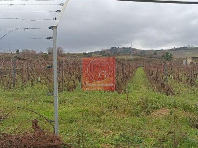 Quinta venda em Aldeias, Viseu