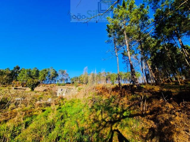 Commercial Land venda em Paredes De Coura, Agualonga