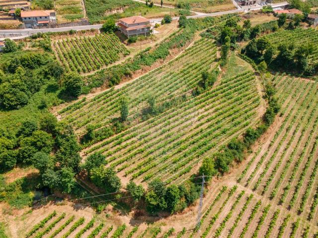 Solar venda em Barredo, Felgueiras
