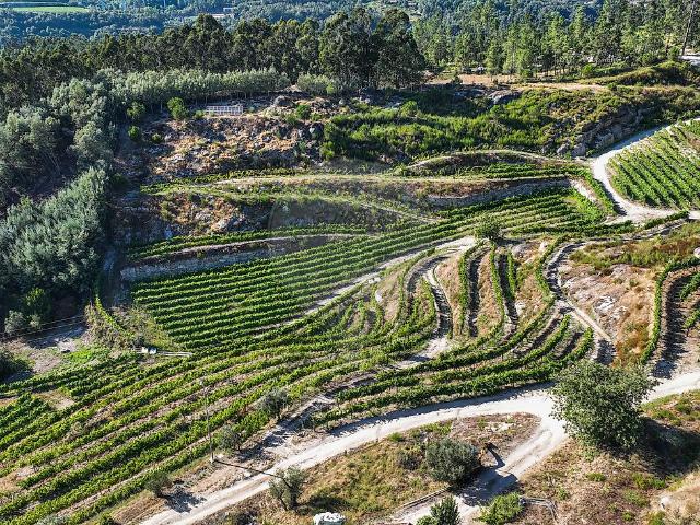 Solar venda em Campo da Feira, Amarante