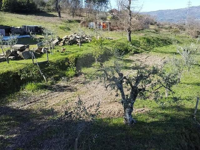 Solar venda em Castelo Branco
