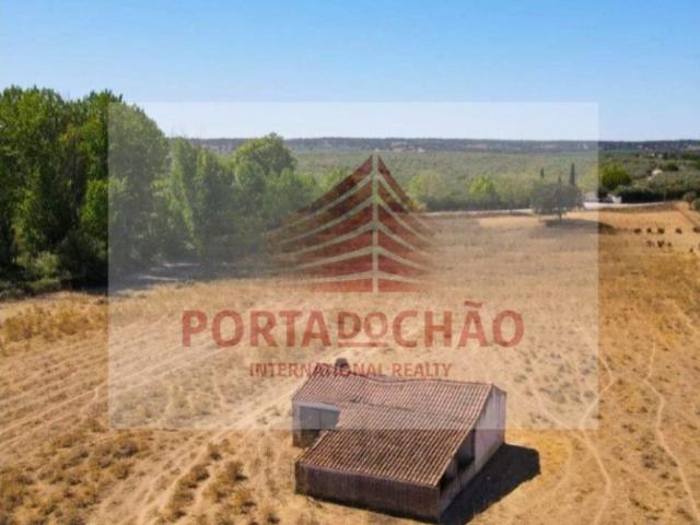 Commercial Land venda em Avis Commercial Land venda em Avis