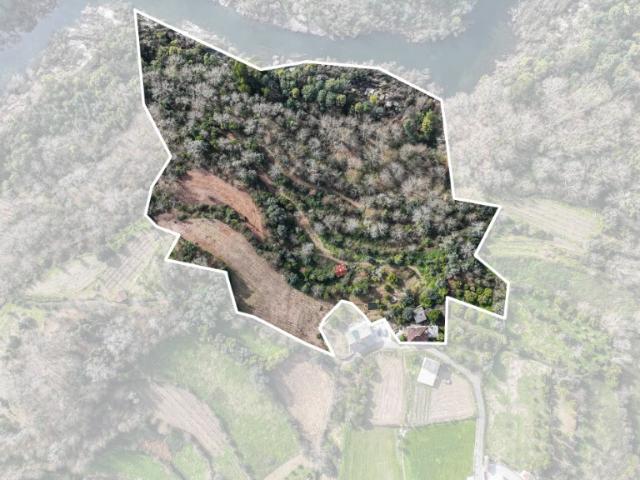 Solar venda em Bouro (Santa Maria), Amares