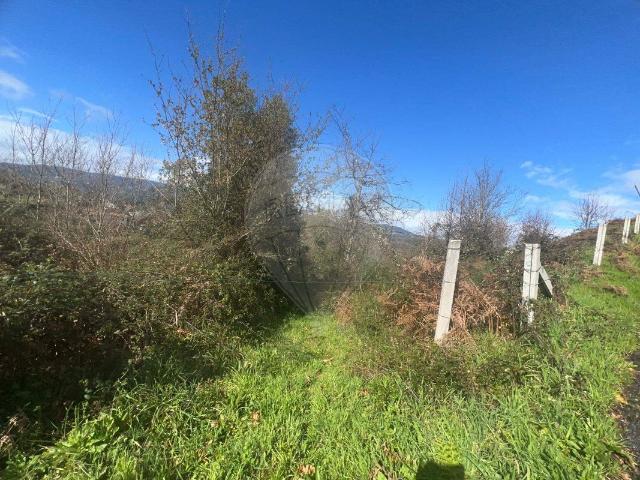 Solar venda em Bruzende, Ponte Da Barca