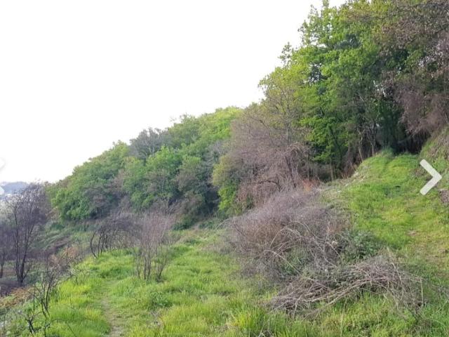 Solar venda em Vila Verde, Braga