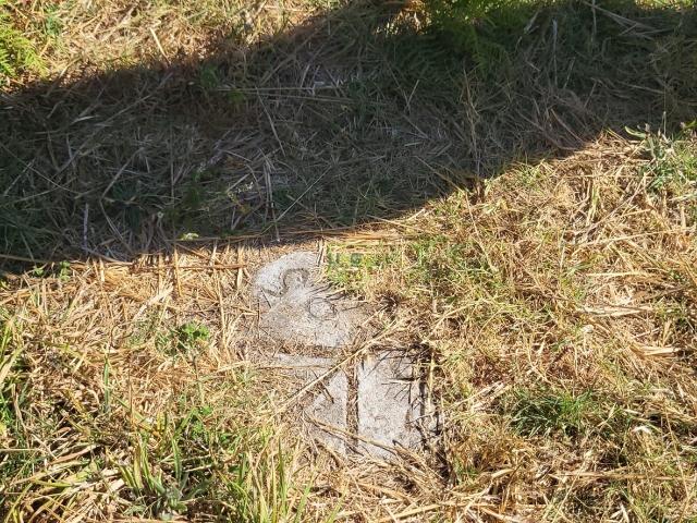 Solar venda em Castelo Branco