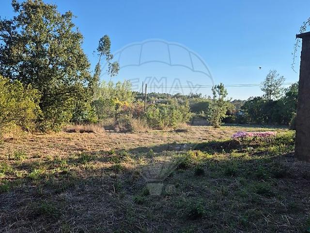 Solar venda em Rego Da Murta, Santarém