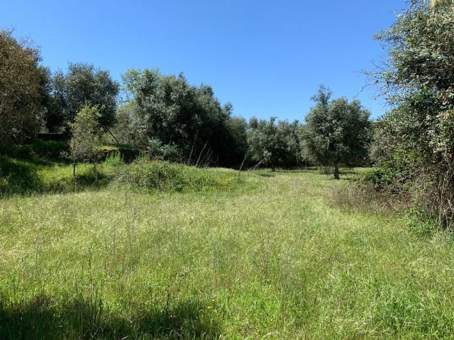 Solar venda em Ourique, Beja