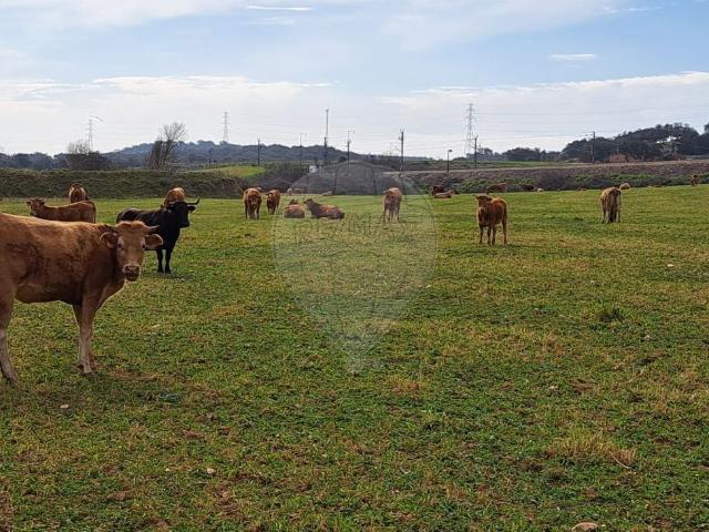 Solar venda em Ourique, Beja
