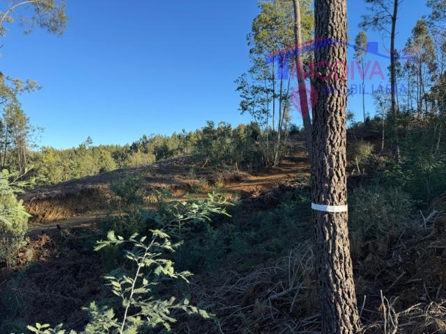 Solar venda em Castelo Branco, Oleiros