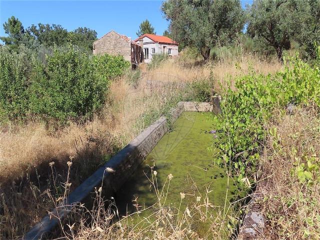 Commercial Land venda em Penamacor