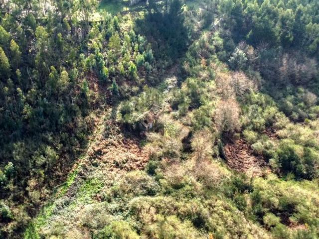 Commercial Land venda em Marco De Canaveses, Lajes