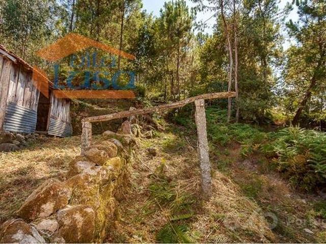 Solar venda em Verderena, Cinfães