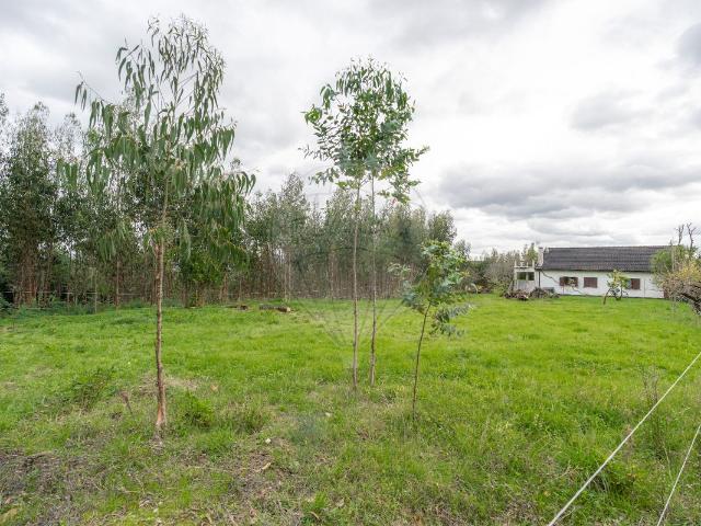 Commercial Land venda em Soure, Camparca