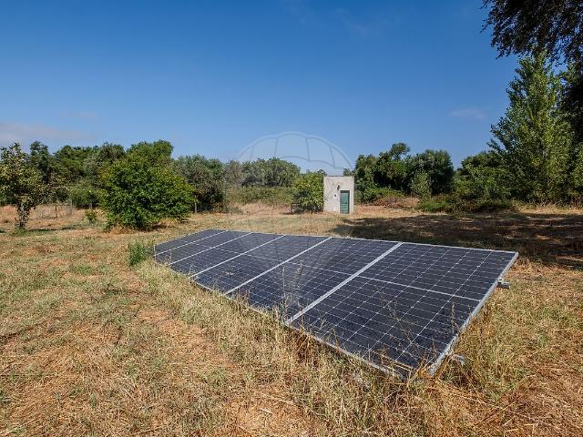 Solar venda em Alvito, Vila Nova Da Baronia