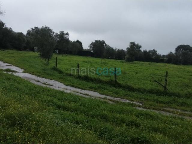 Commercial Land venda em Montemor-o-novo, Mouzinhos