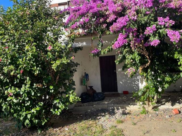 Solar venda em Ferreira Do Alentejo, Beja