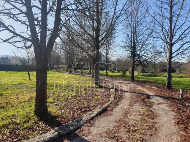 Solar venda em Viana Do Castelo