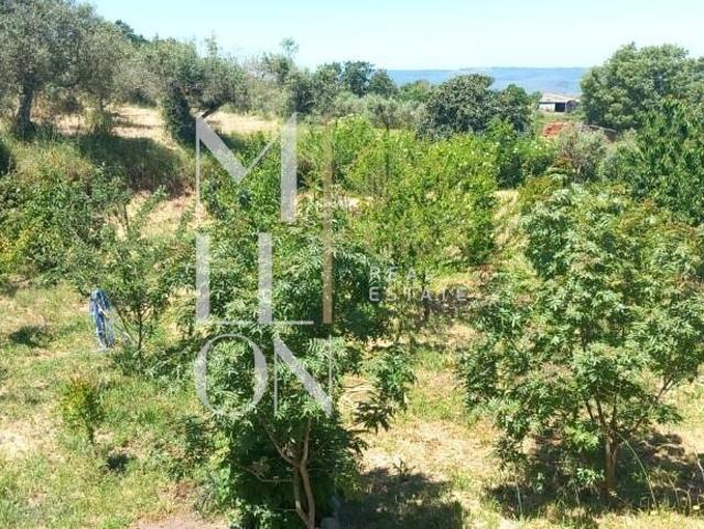 Solar venda em Guarda, Celorico Da Beira