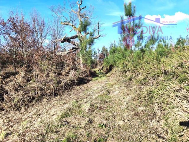 Solar venda em Figueiró Dos Vinhos, Leiria