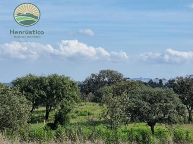 Solar venda em Bairro Novo dos Cadoços, Grândola