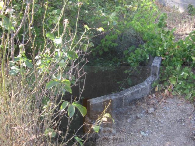 Solar venda em Castelo Branco
