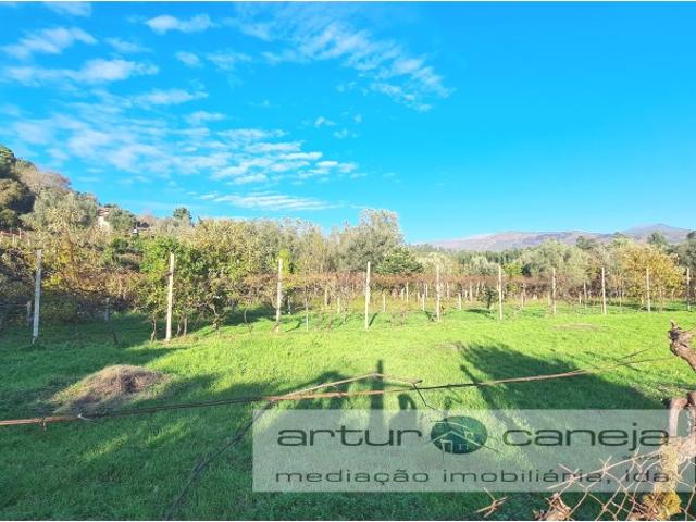 Solar venda em Couto, Arcos De Valdevez