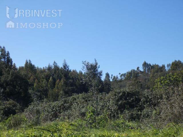 Solar venda em Monchique, Faro