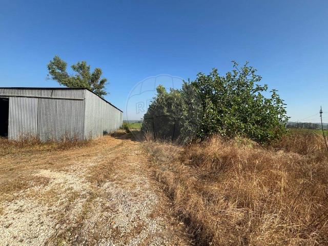 Solar venda em Coruche, Santarém