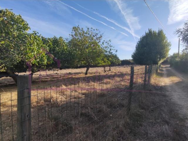 Solar venda em Estremoz, Évora