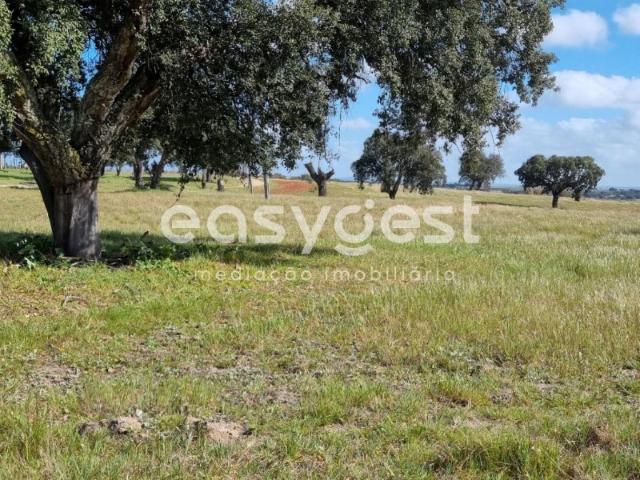 Solar venda em Figueira dos Cavaleiros, Ferreira Do Alentejo