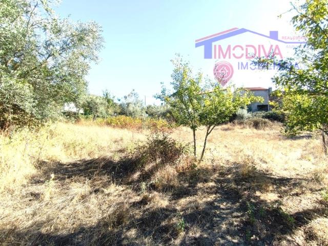 Solar venda em Pedrógão Grande, Leiria