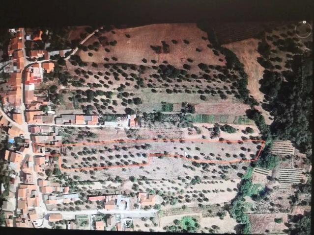 Commercial Land venda em Torres Novas, Barroca