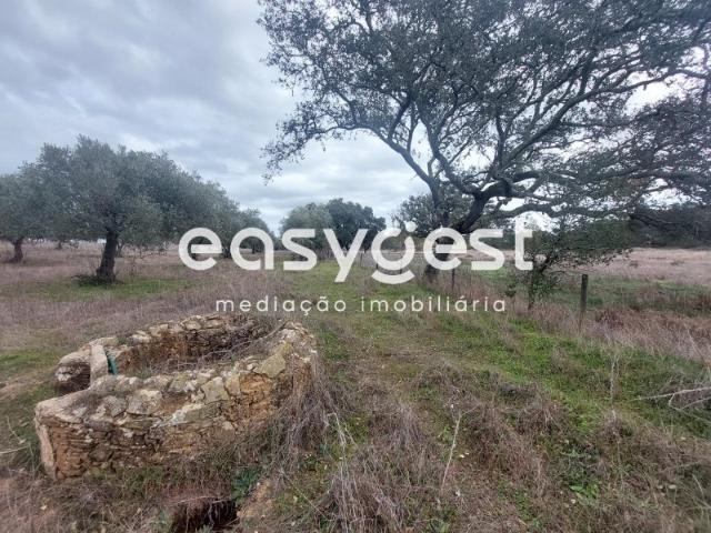 Solar venda em Ourique, Beja