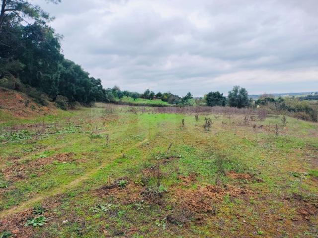 Commercial Land venda em Santarém, Póvoa da Isenta