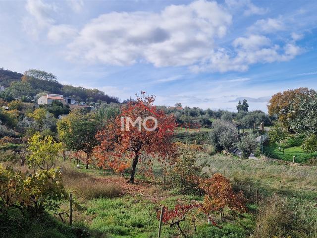 Solar venda em Santiago Maior, Castelo De Vide