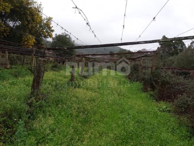 Solar venda em Viana Do Castelo