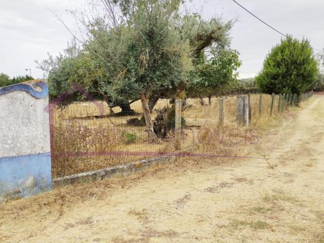 Solar venda em Estremoz, Évora