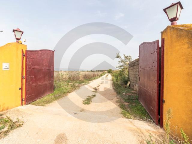 Commercial Land venda em Golegã