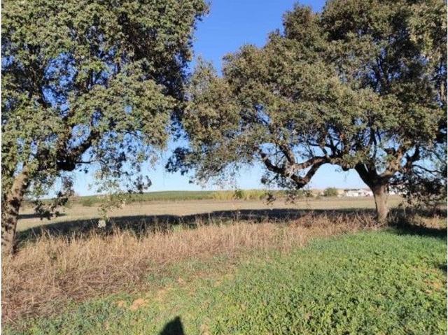 Solar venda em Nossa Senhora das Neves, Beja