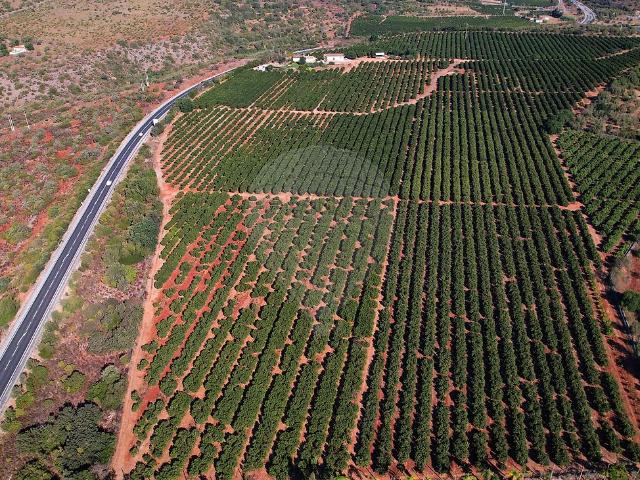 Solar venda em São Bartolomeu De Messines, Faro