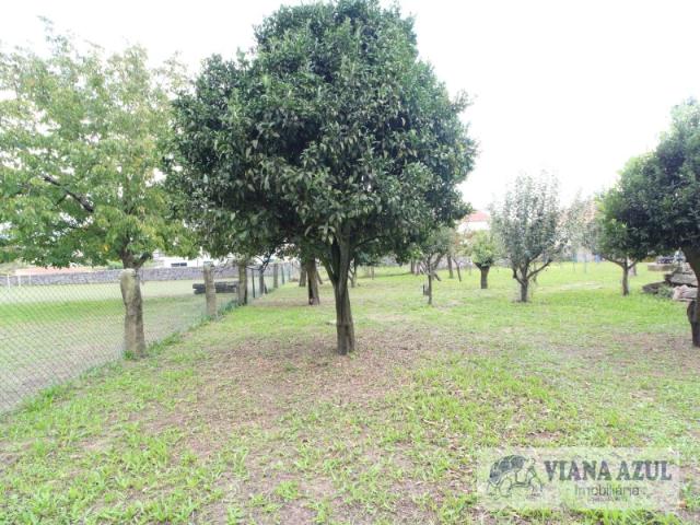 Solar venda em Cardielos e Serreleis, Viana Do Castelo