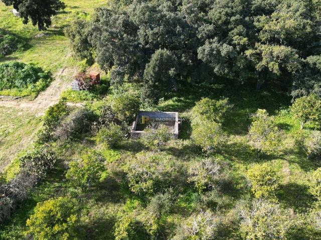 Commercial Land venda em Santarém, São Salvador