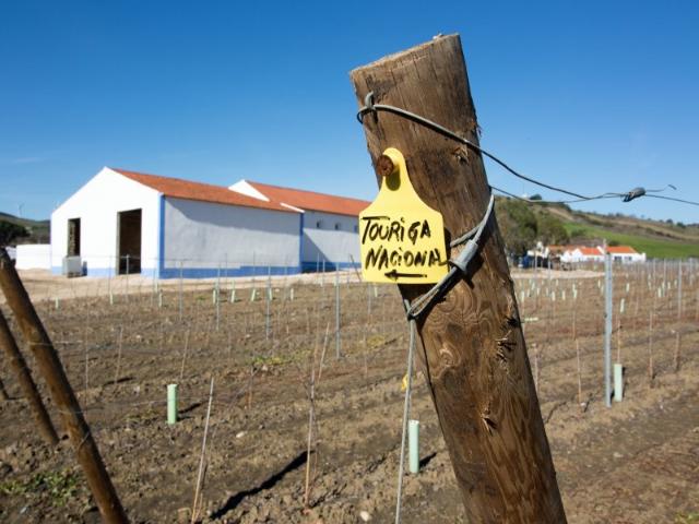 Commercial Land venda em Arruda Dos Vinhos