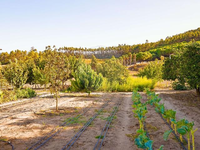 Solar venda em Casais de Britos, Azambuja