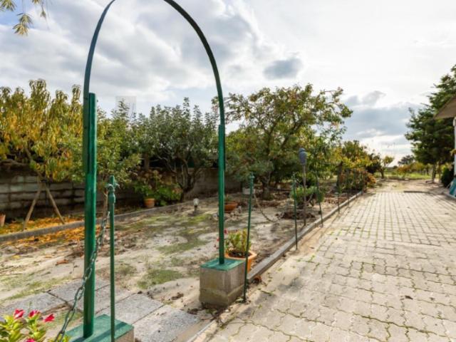 Solar venda em Salvaterra De Magos, Santarém