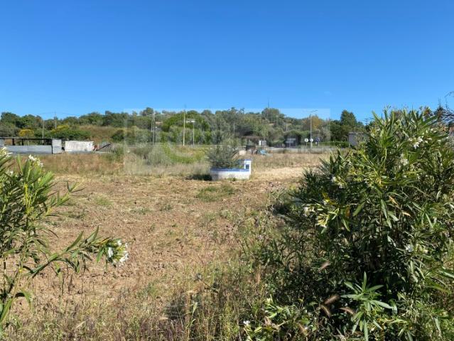 Commercial Land venda em Montemor-o-novo
